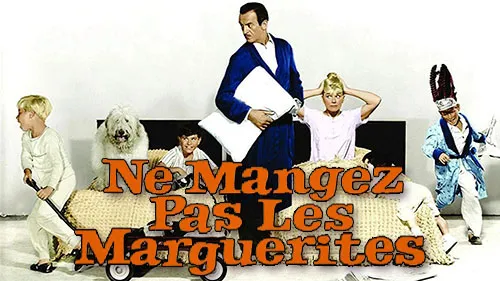 Ne mangez pas les marguerites