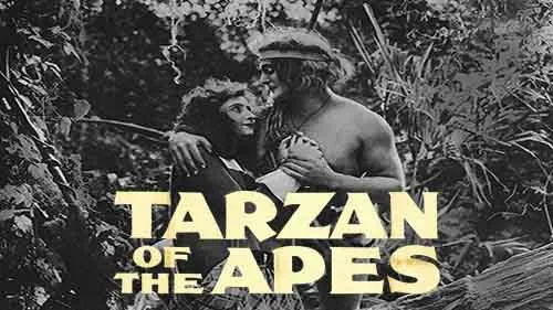 Tarzan chez les singes