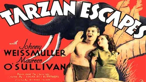 Tarzan s'évade