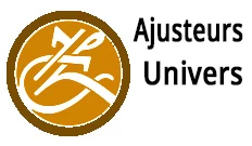Découvrir l'univers des Ajusteurs