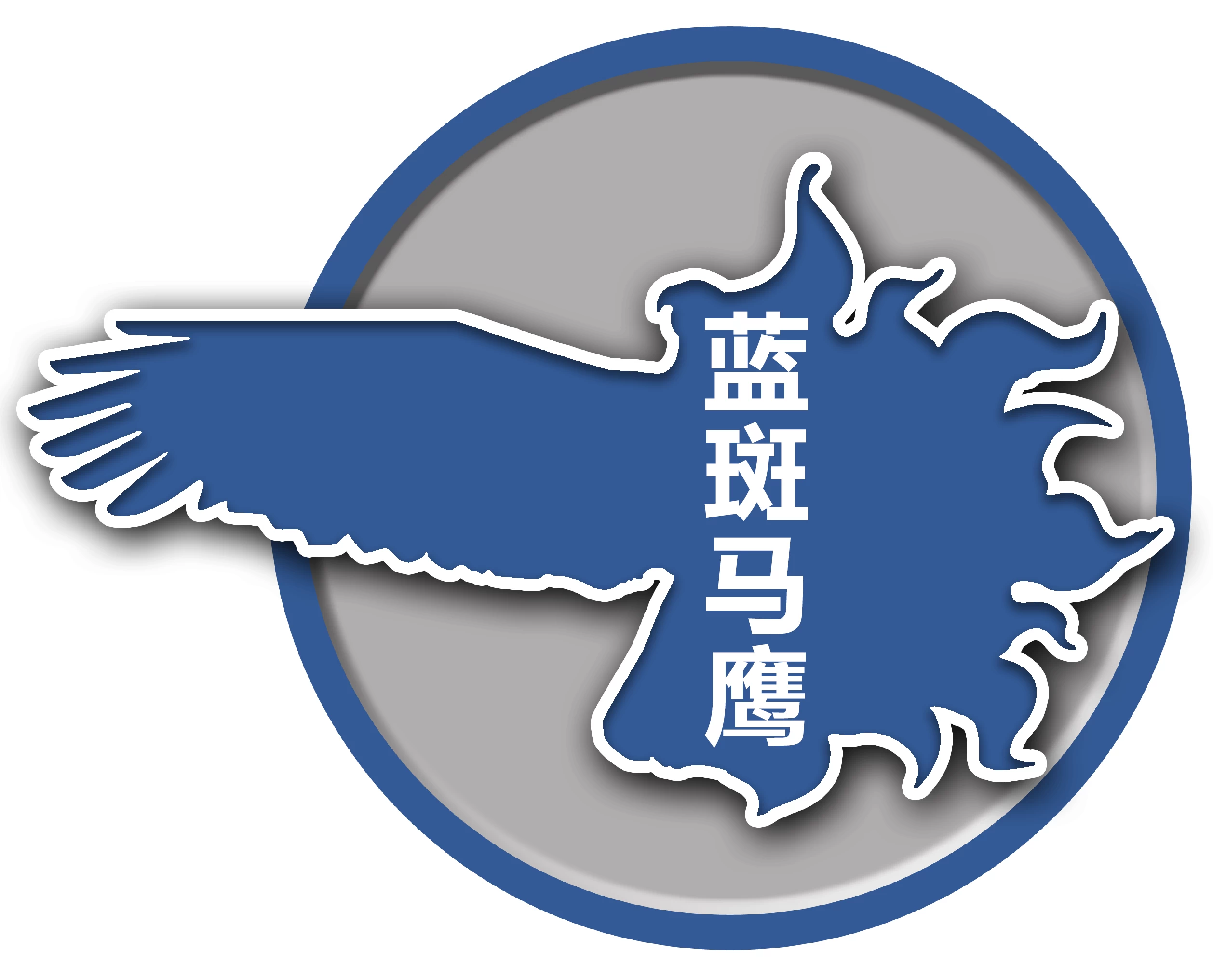 Alt Text
